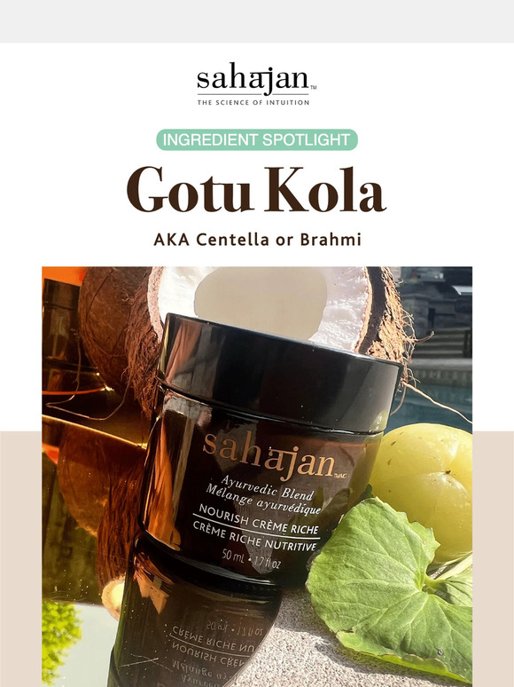 Meet the Anti-Aging Powerhouse Ingredient 💪