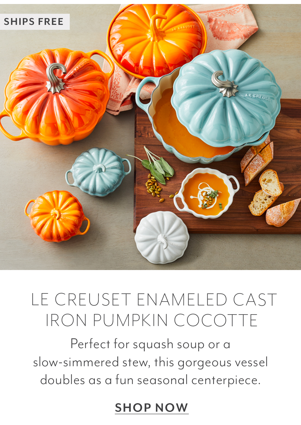 Le Creuset Enameled Cast Iron Pumpkin Cocotte, 4-Qt.