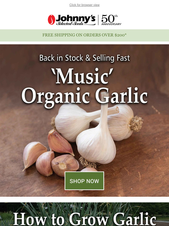 Last Chance for Garlic!