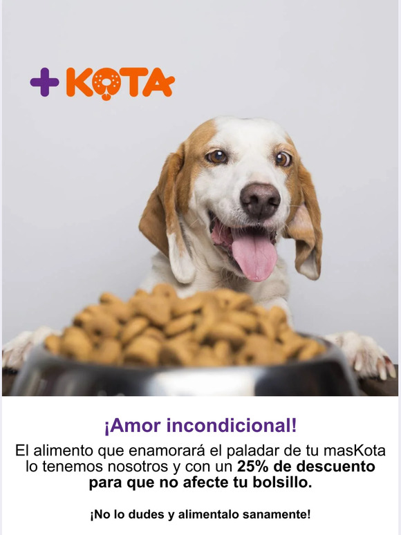 💜¡Amor Incondicional!🐕