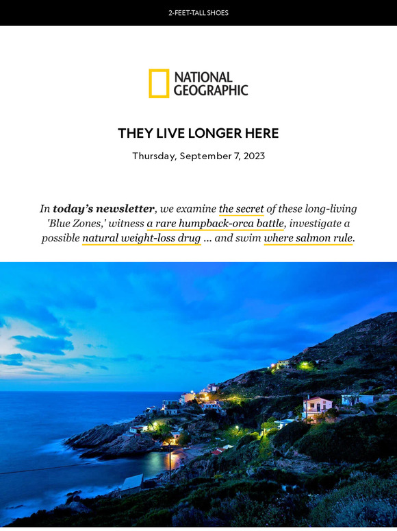 Where the world’s healthiest people live. Plus, a rare humpback-orca battle; does “nature’s Ozempic” really work?