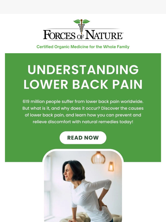 New Blog Alert; Understanding Lower Back Pain