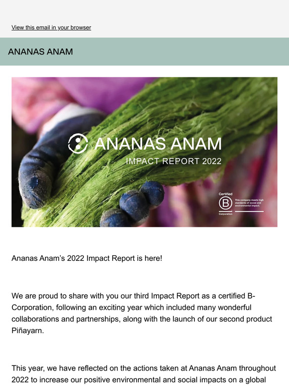 Ananas Anam's 2022 Impact Report is here
