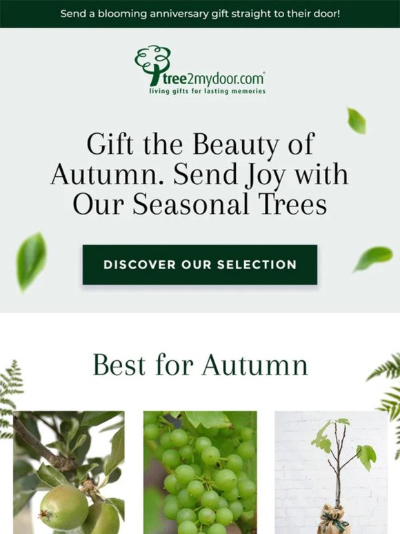 Make Their Day with Autumn Gifts