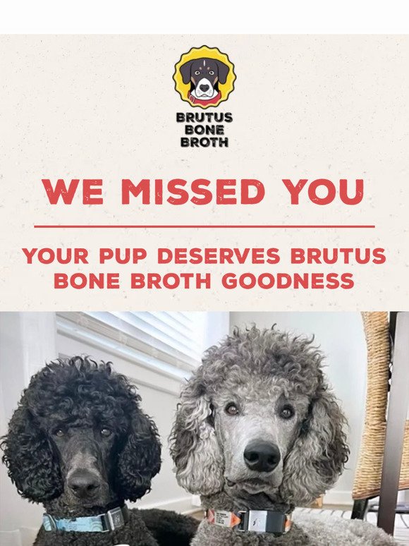 Remember Brutus Bone Broth Goodness? 🦴