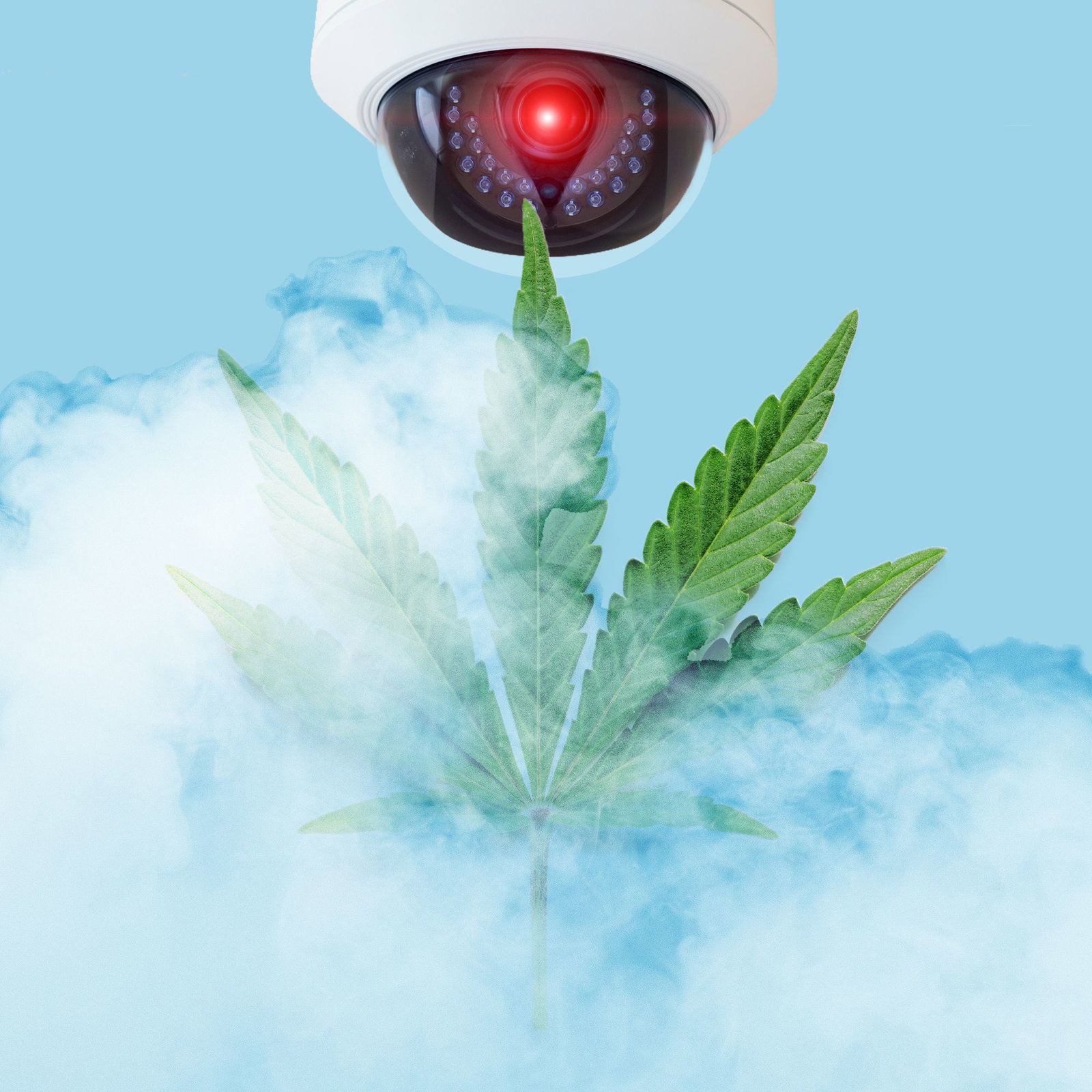 How Weed Dispensaries Protect Their Stash. And Their Cash. And Their Customers.