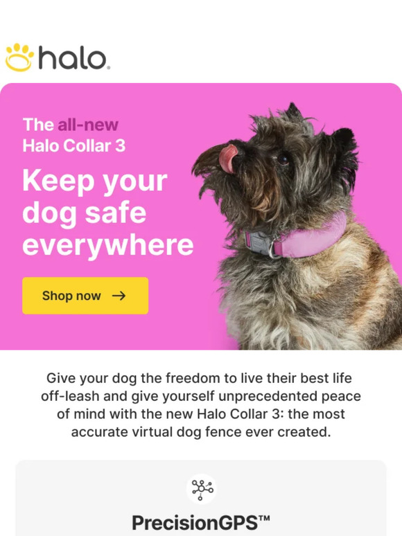 Halo Collar The Future of Dog Safety Has Arrived! Milled