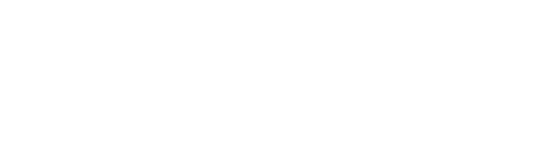 KNESKO Skin Logo