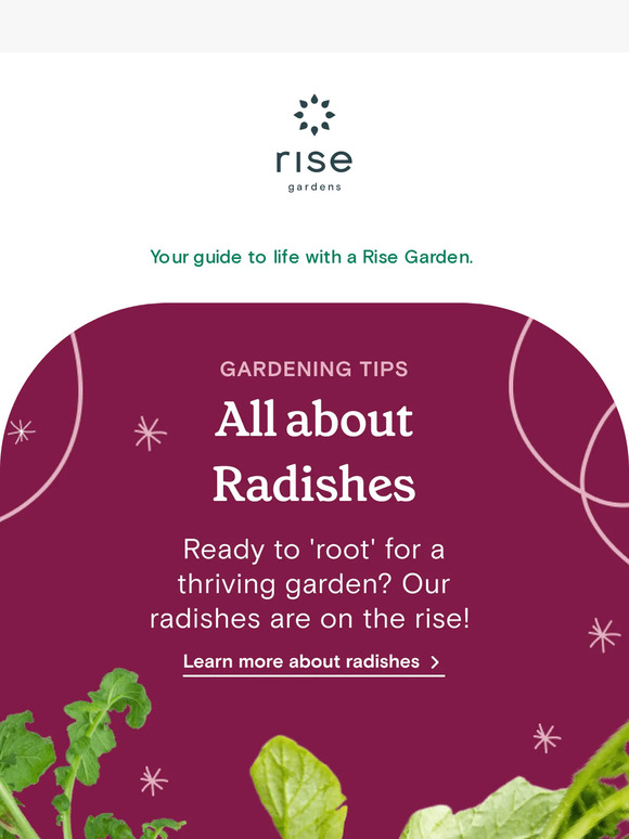 This Week at Rise Gardens Vol. 43 🌱🏵️