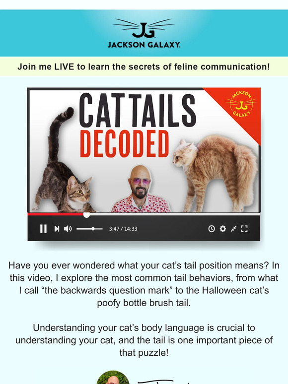 Cat Tails Decoded