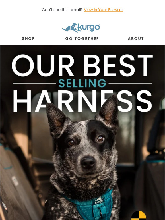 Our Best Selling Harness
