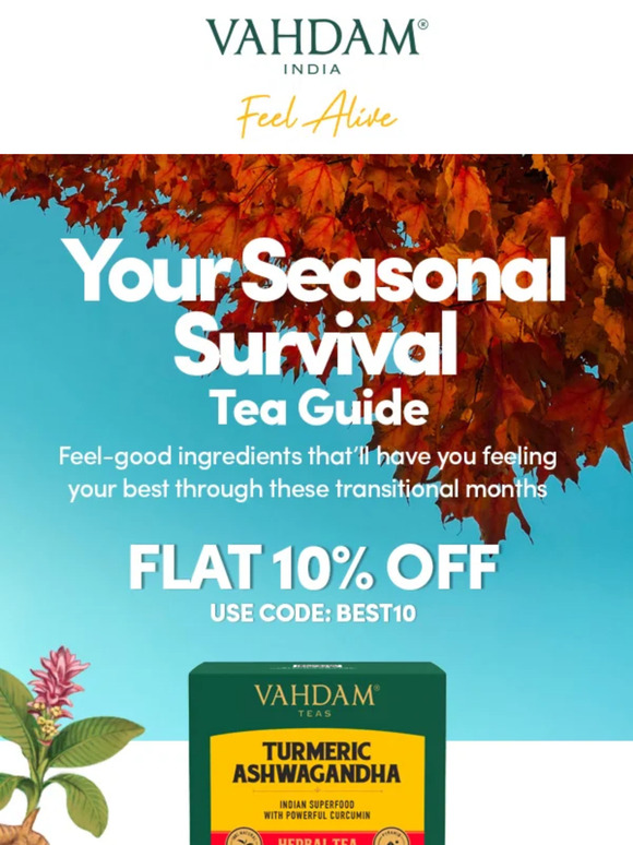 Vahdam Teas Discover the Secret to Seasonal Resilience with Our Teas