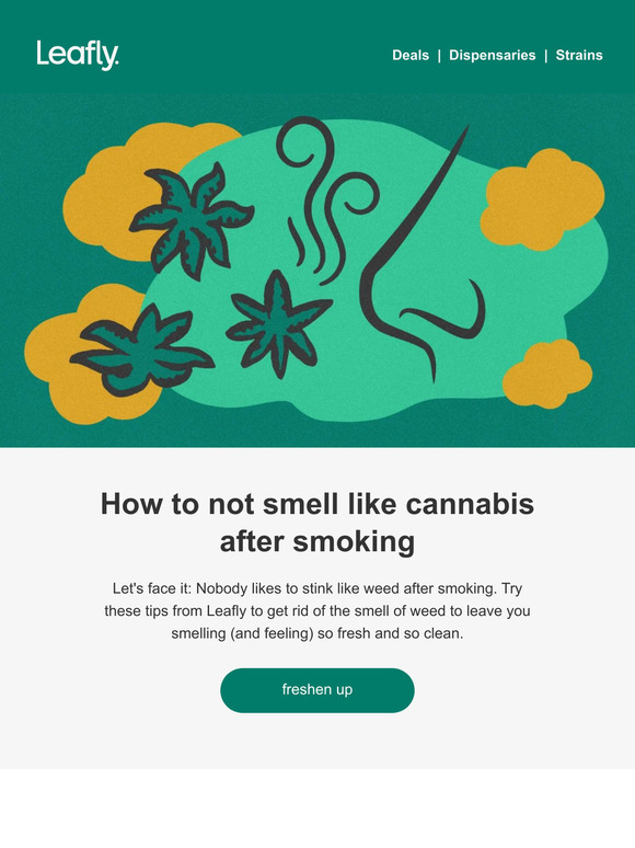 Leafly How to avoid smelling like weed 👃 Milled