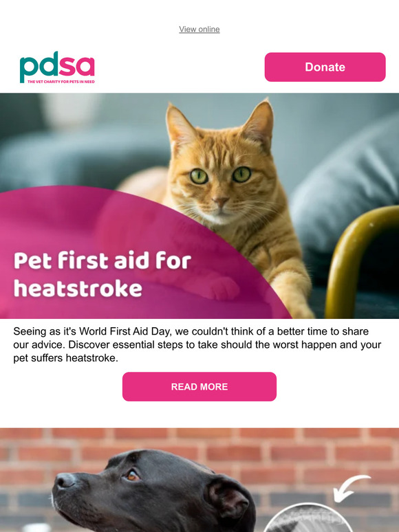 PDSA 🥵Pet first aid for heatstroke Milled