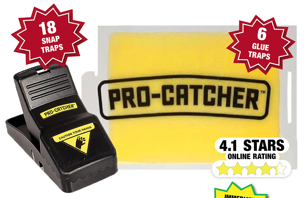 Menards Restorology Foam Leg Pillow UNDER 15! Milled