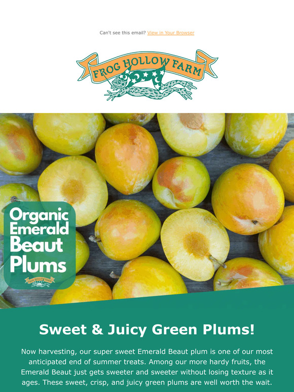 Organic Cal Red Peaches  Pre-Order – Frog Hollow Farm