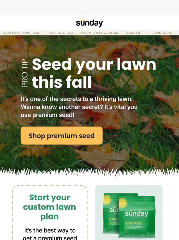 Your fall pro tip is in!