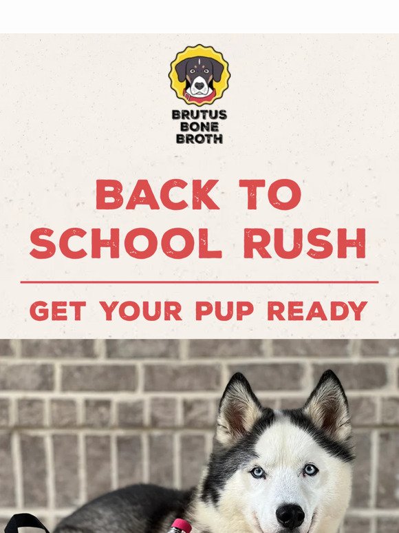 Get Your Pup Ready for Back to School 🐶
