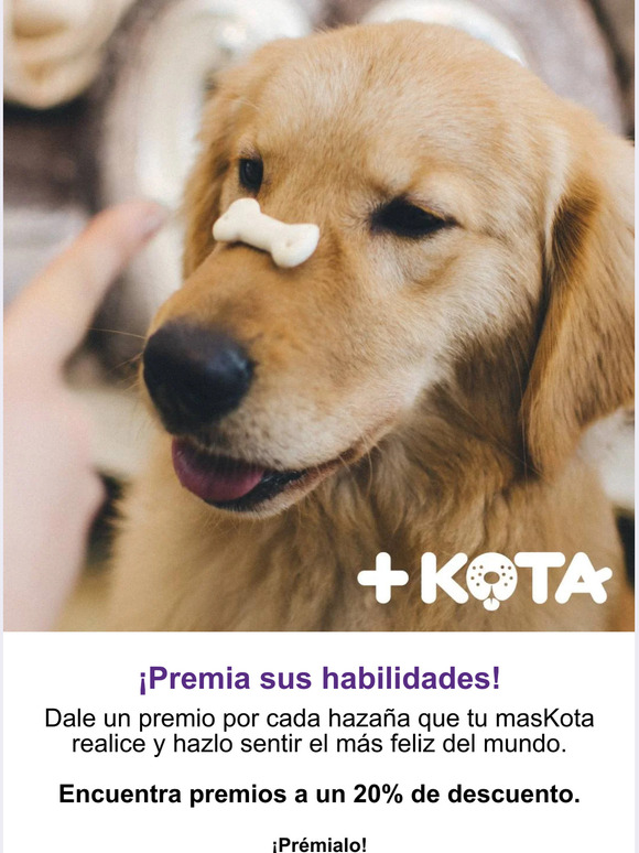 ¡Premia sus habilidades!🐕