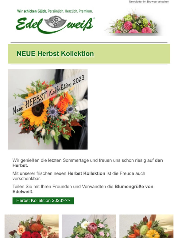 NEUE Herbst Kollektion