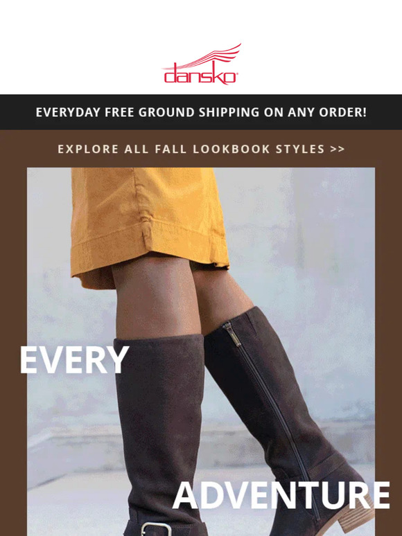 OUR TOP FALL PICKS 🍂
