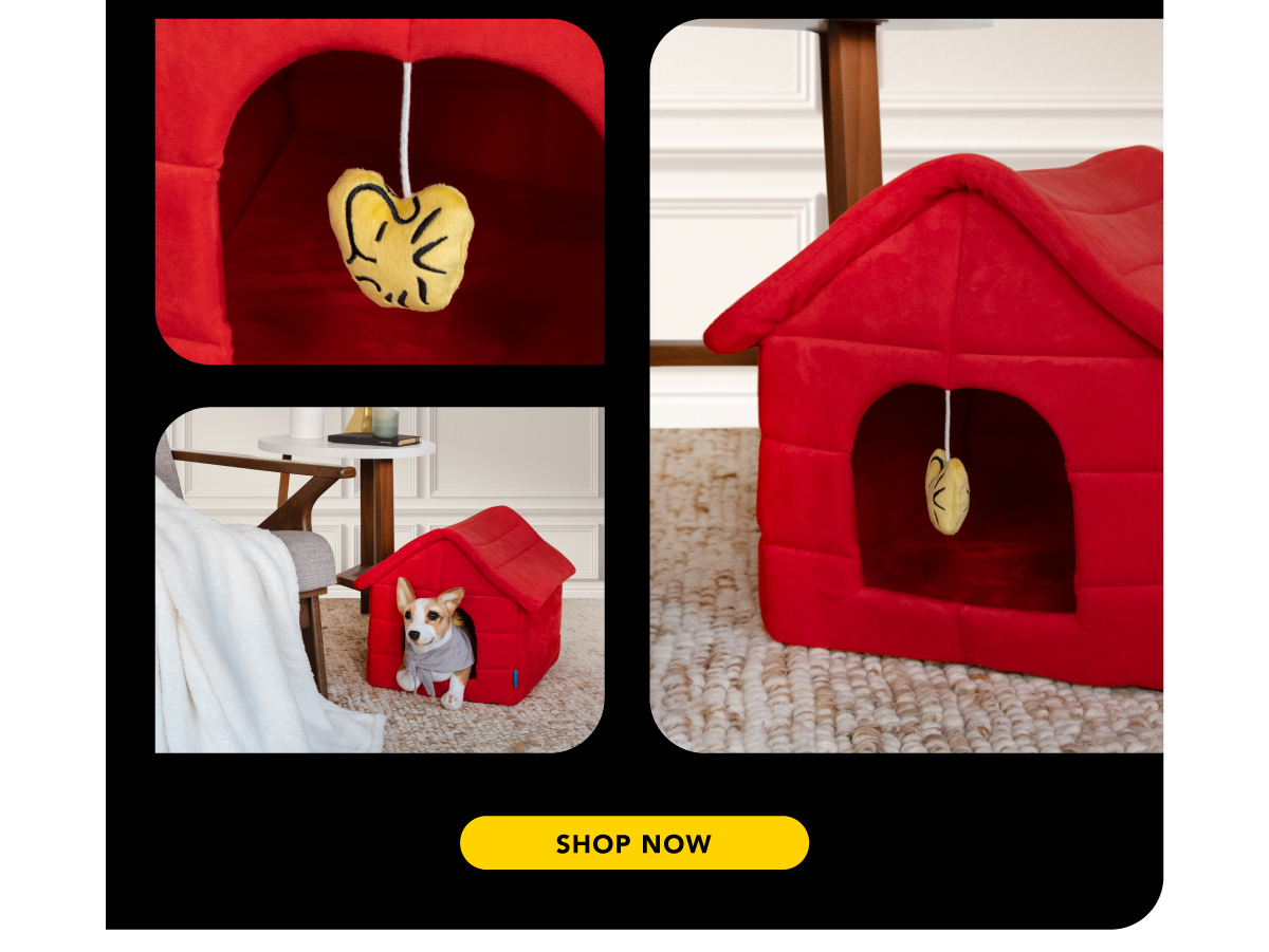 Berkshire Blanket & Home Co Introducing the Peanuts® Snoopy Pet Bed