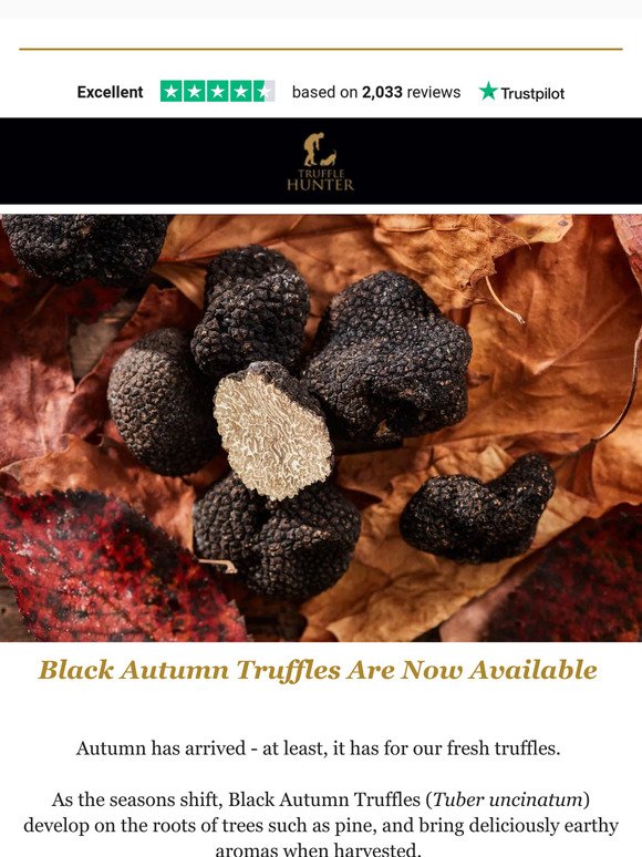 Black Autumn Truffles Are Now Available! 🍂