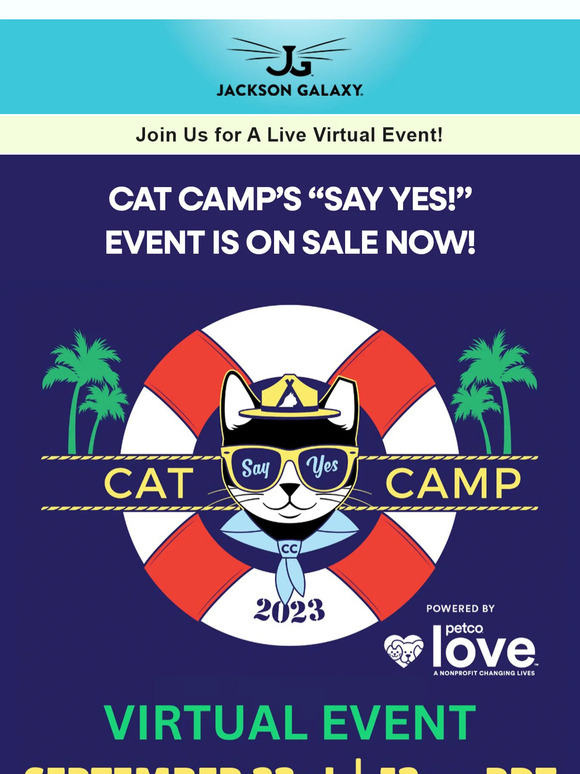 SAY YES! Cat Camp is Back With a Virtual Event!