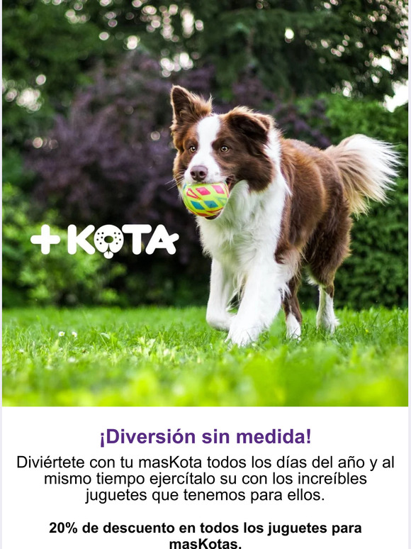 🎾¡Diversión sin medida!🐕
