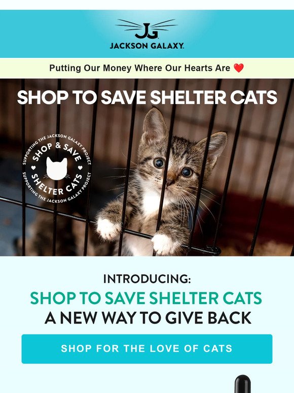 Introducing: Shop to Save Shelter Cats ❤️