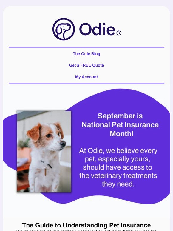 It's National Pet Insurance Month!
