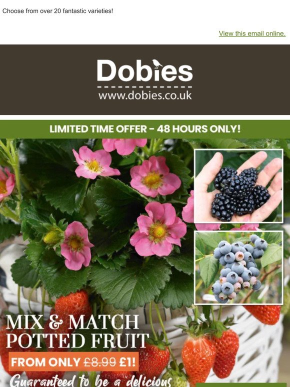 MIX & MATCH Potted Fruit FROM £1 EACH! 48 HOURS ONLY!