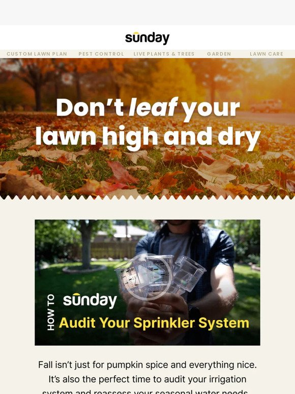 🍁Fall is the ideal time to audit your irrigation system