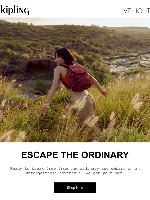 Escape the ordinary with our Basic collection