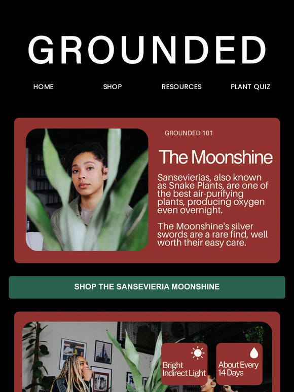 Tending to the Moonshine: Your Guide to Proper Care