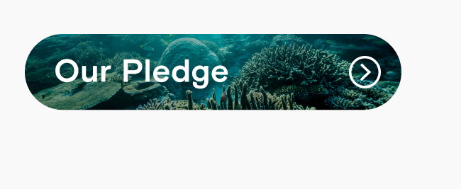 Read Our Pledge