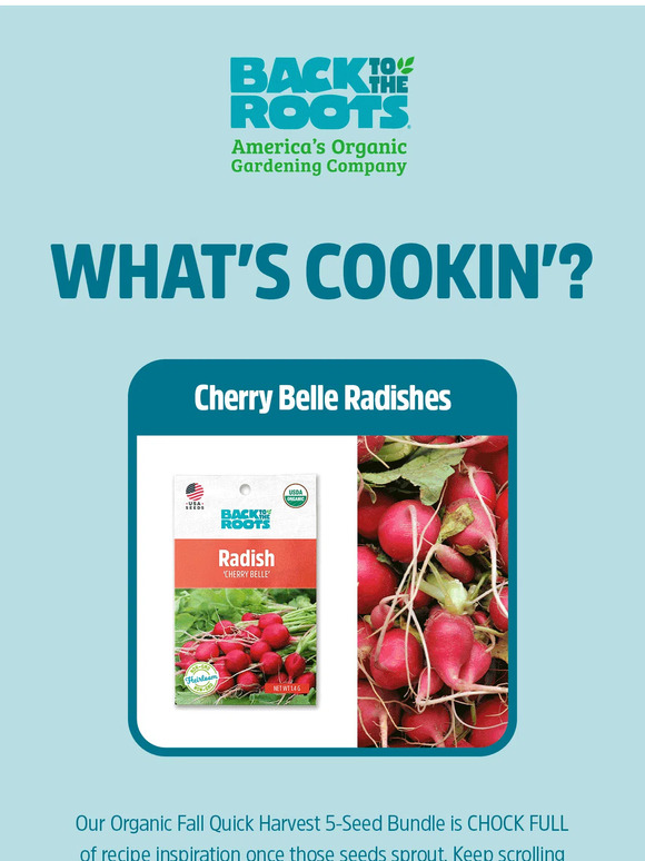 🥕 Garden Check: Get cooking with our fall seed bundle