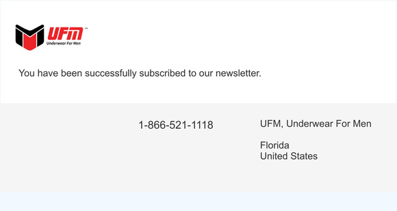 Newsletter subscription success