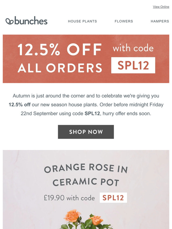 Save 12.5% on new autumn house plants with code SPL12