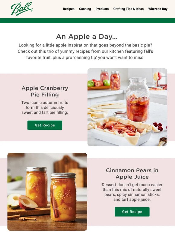 Fresh-Picked Apple Recipes 🍎