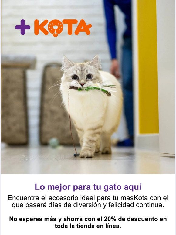 🐈Los mejores accesorios para tu gato están aquí⚡