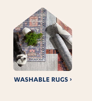 Shop Washable Rugs Category