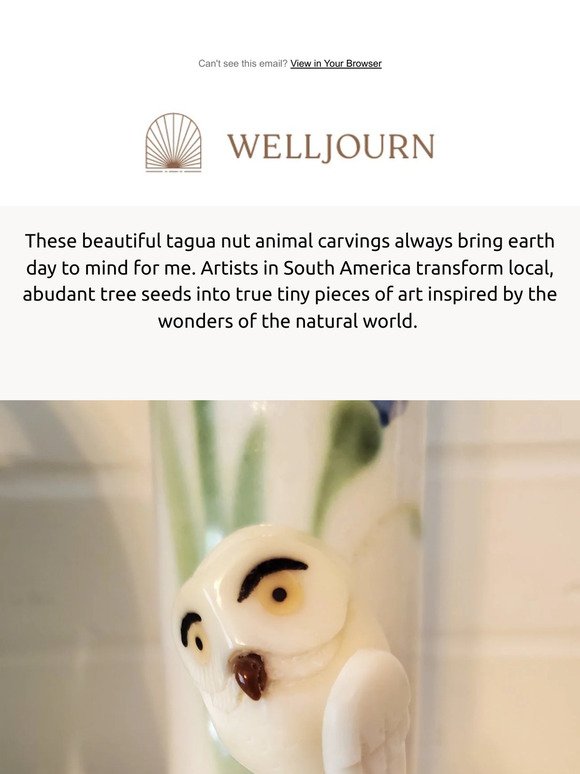 🌎 Tagua Nut Animal Figurines