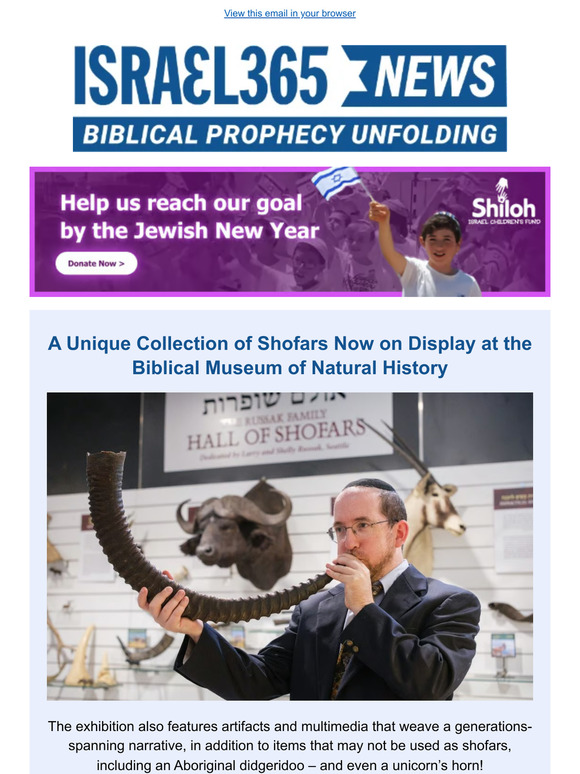 Israel365 A Unique Collection of Shofars Now on Display at the