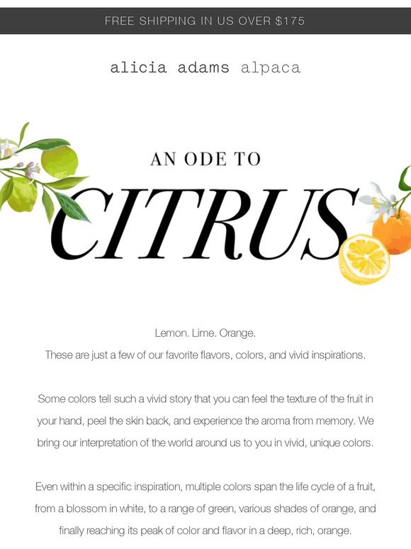 🍋 An Ode to Citrus. Lemon, Lime, Orange