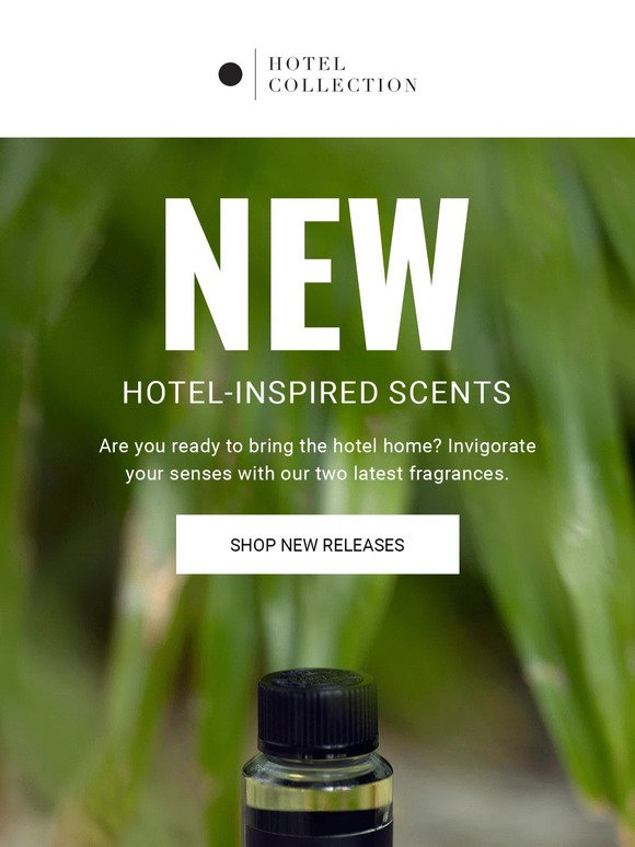 Did Someone Say NEW Scents?!