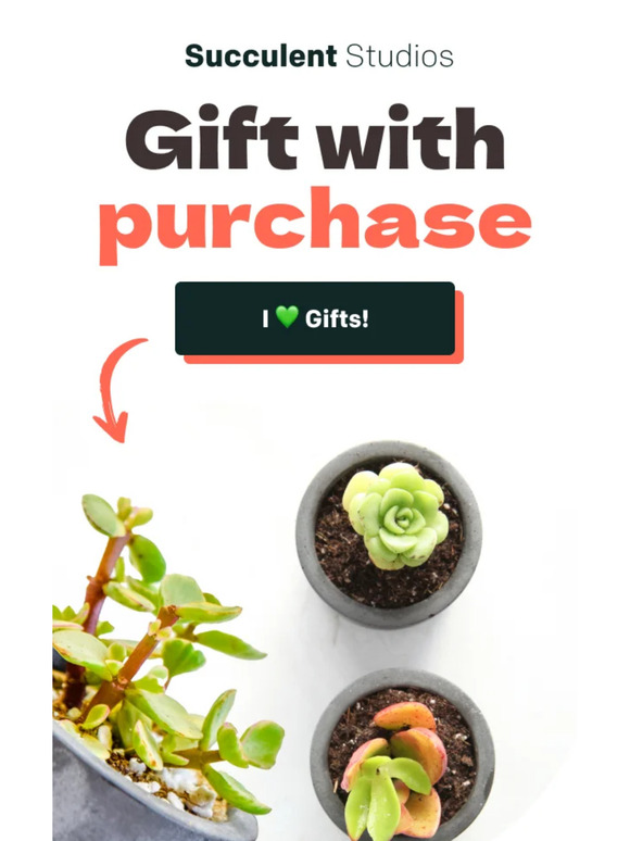 FREE SUCCULENT 🌵🌵🌵🌵🌵🌵