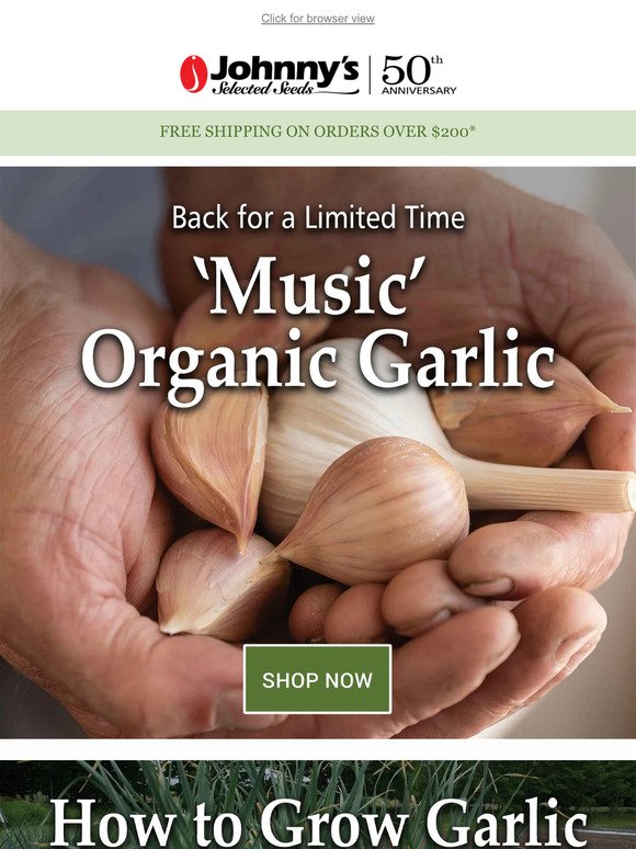 Garlic Back in Stock & Selling Fast