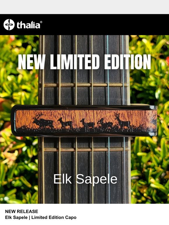 New Elk Sapele Limited Edition