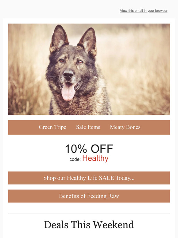 👉 10% OFF Sitewide...